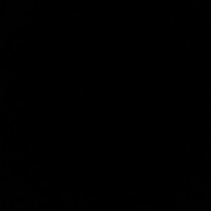 Meet your Posher, Rita